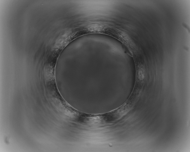 X0000100490411200806271241