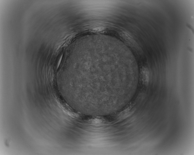 X0000100490412200806271241