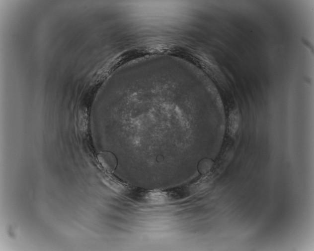 X0000100490413200806271241