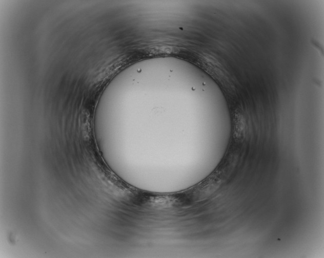 X0000100490414200806271241