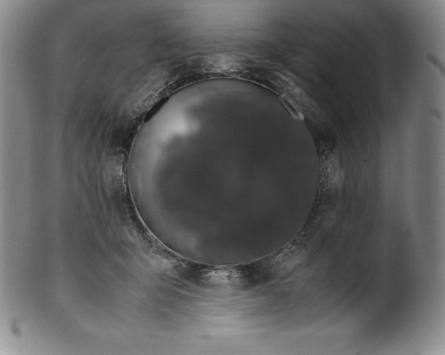 X0000100490415200806271241