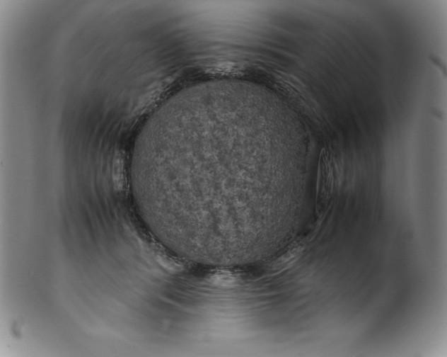 X0000100490416200806271241