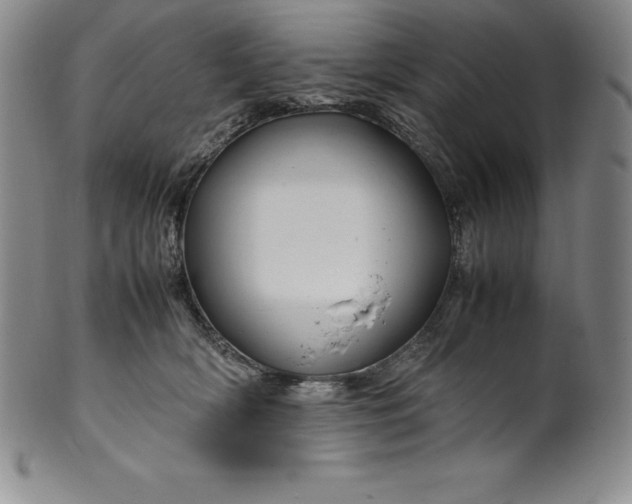 X0000100490418200806271241