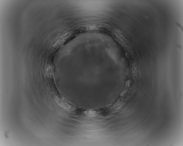 X0000100490419200806271241