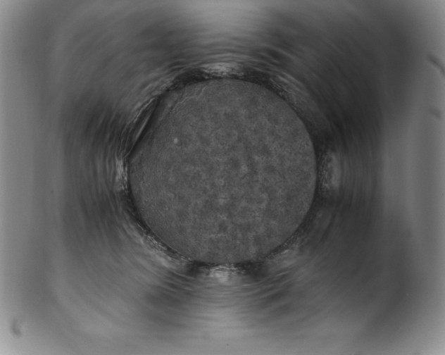 X0000100490420200806271241