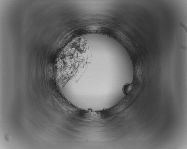 X0000100490421200806271241