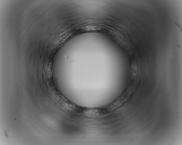 X0000100490422200806271241