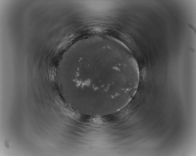 X0000100490423200806271241