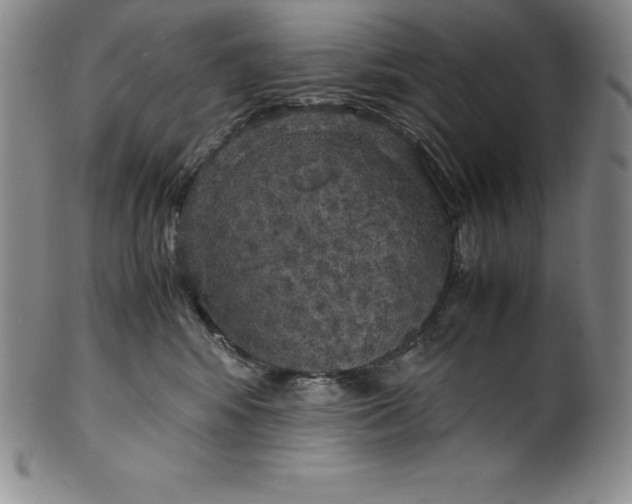 X0000100490424200806271241