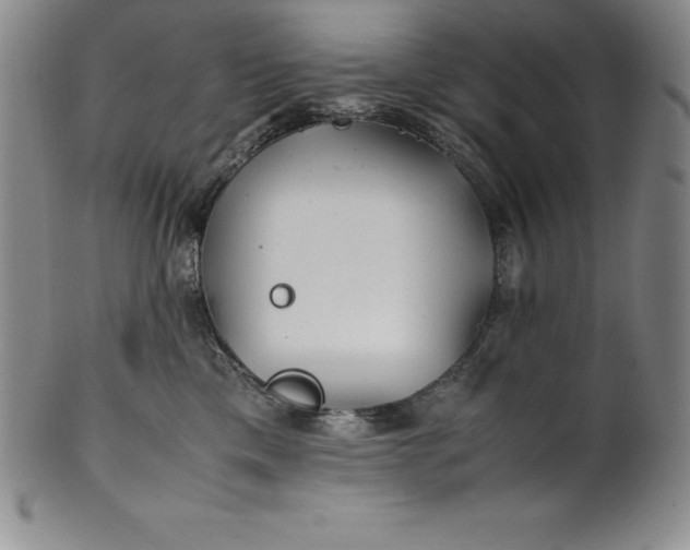 X0000100490425200806271241