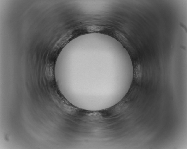 X0000100490426200806271241