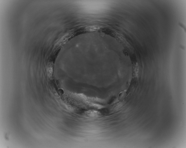 X0000100490427200806271241