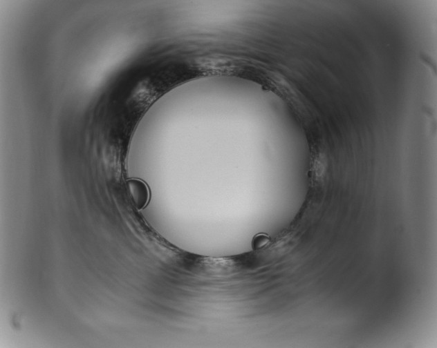 X0000100490429200806271241