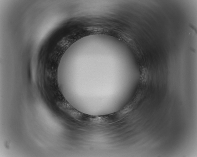 X0000100490430200806271241