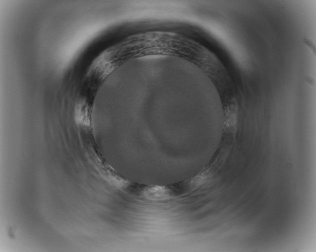 X0000100490431200806271241