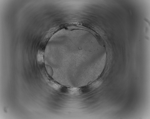 X0000100490432200806271241