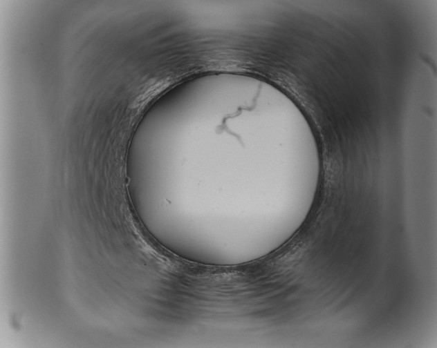 X0000100490433200806271240