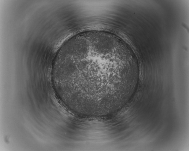 X0000100490434200806271240