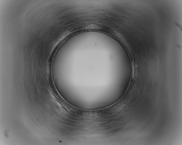 X0000100490435200806271240