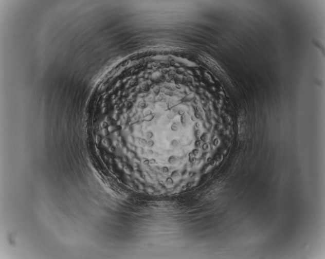 X0000100490436200806271240