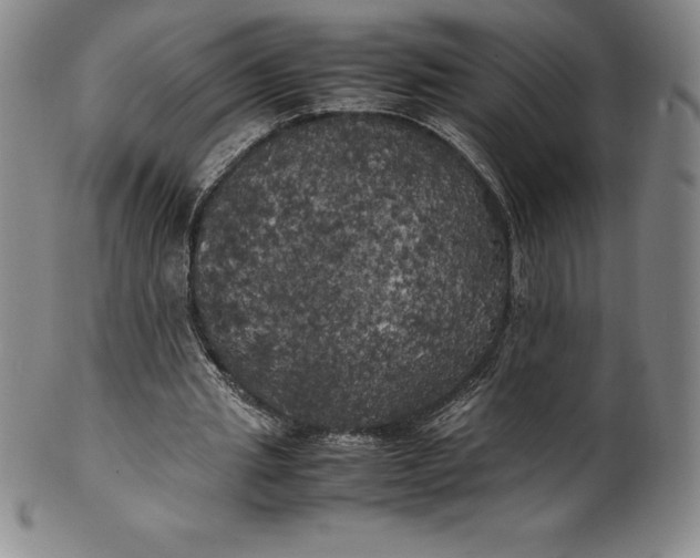 X0000100490437200806271240