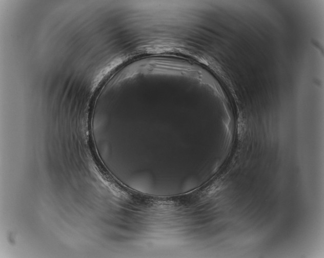 X0000100490438200806271240