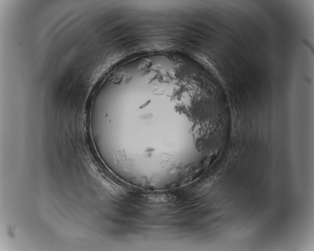 X0000100490439200806271240