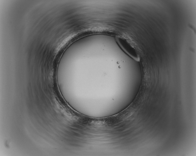 X0000100490440200806271240