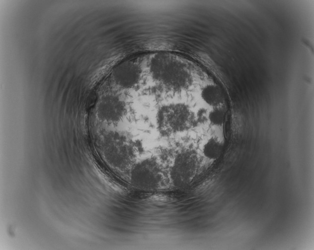 X0000100490441200806271240