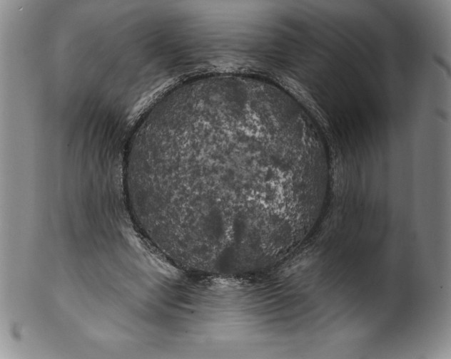 X0000100490442200806271240