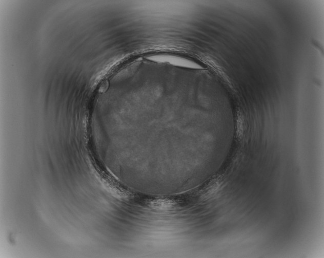 X0000100490444200806271240