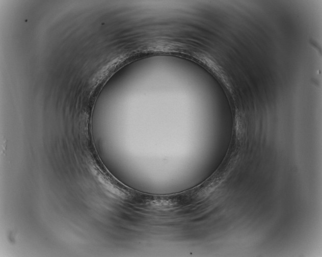 X0000100490445200806271240