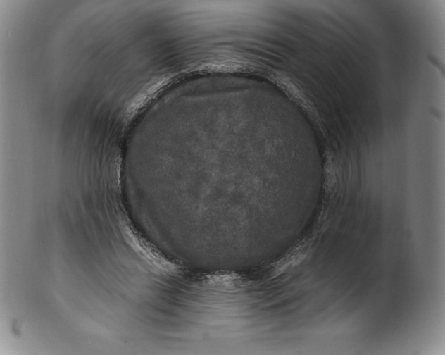 X0000100490446200806271240