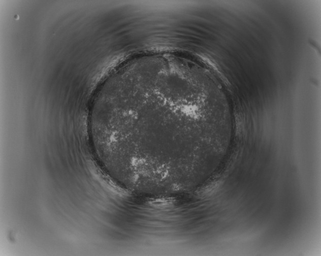 X0000100490447200806271240