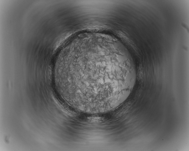 X0000100490448200806271240