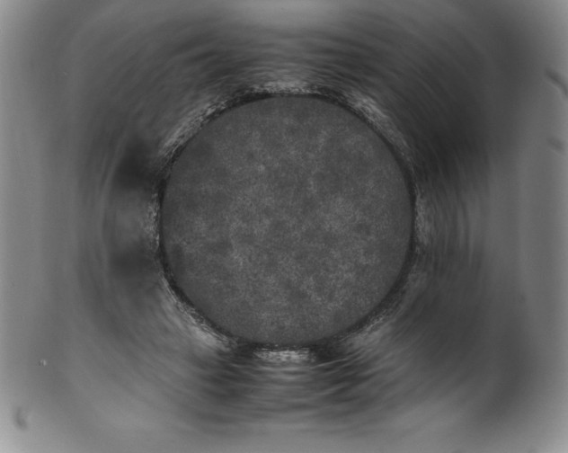 X0000100490449200806271240