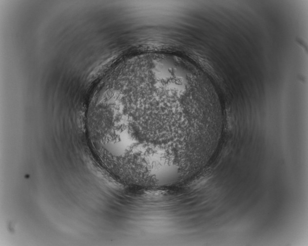 X0000100490450200806271240