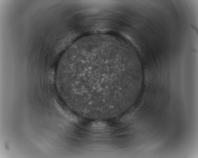 X0000100490451200806271240