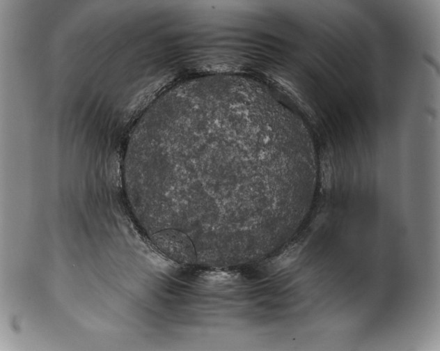 X0000100490453200806271241