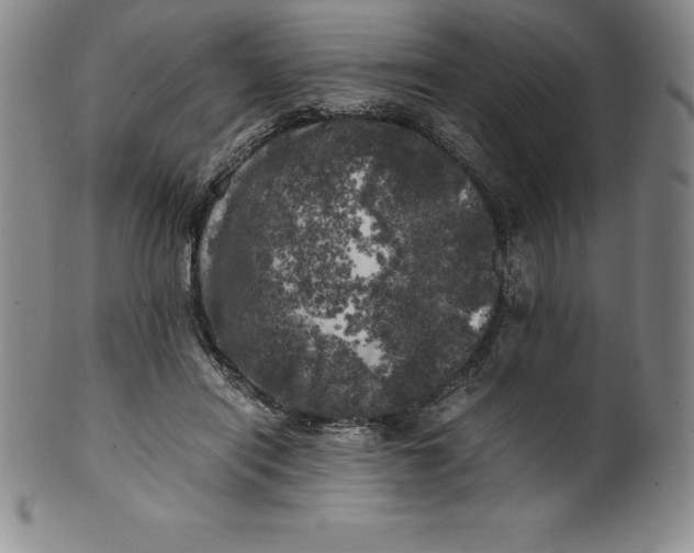 X0000100490454200806271241