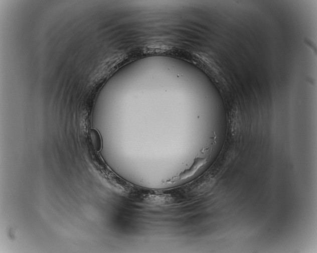 X0000100490455200806271241