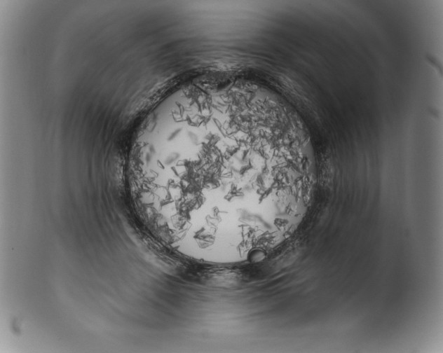 X0000100490456200806271241