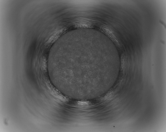 X0000100490457200806271241