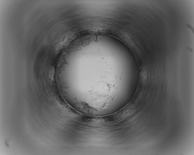 X0000100490458200806271241