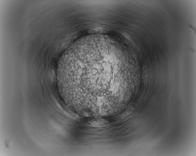 X0000100490459200806271241