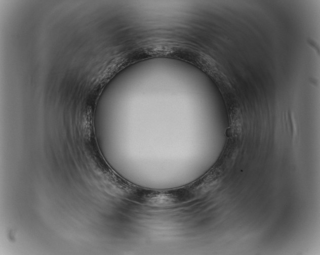 X0000100490460200806271241