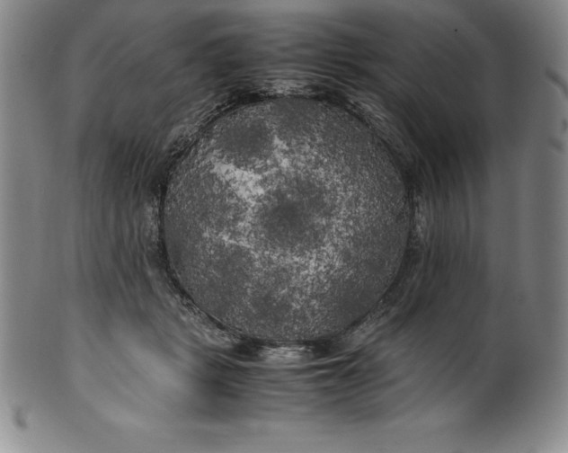 X0000100490461200806271241