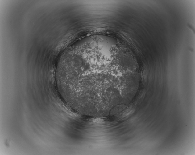 X0000100490462200806271241