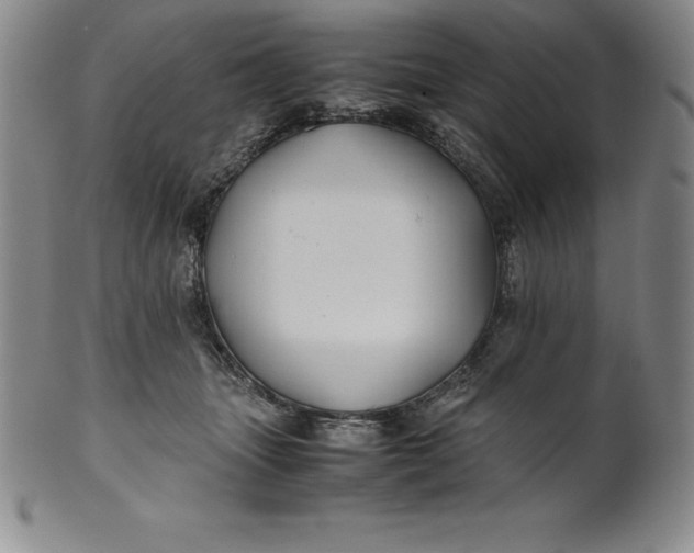 X0000100490463200806271241