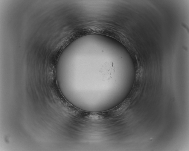 X0000100490464200806271241